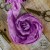 Old Fashion - wstążki w stylu vintage PEONIA