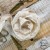 old-fashion-ribbons-ecru