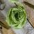 old-fashion-ribbons-jasna-oliwka