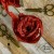 old-fashion-ribbons-rdzawy-brąz