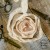 old-fashion-ribbons-brzoskwinia