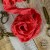old-fashion-ribbons-malina