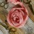 old-fashion-ribbons-pudrowy-róż