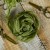 old-fashion-ribbons-ciemna-oliwka