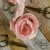 old-fashion-ribbons-jasny-pudrowy-róż