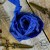 old-fashion-ribbons-atramentowy-niebieski