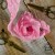 old-fashion-ribbons-83.jpg