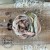 Old Fashion Ribbons 5 sztuk- LOVELY MEMORIES