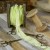 Old-Fashion---wstazki-w-stylu-vintage-CYTRYNOWY.jpg