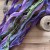 Old Fashion Ribbons 5 sztuk ScrapAndMe
